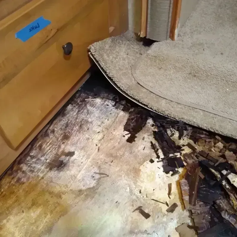 Wood Floor Water Damage in Taylor, AL